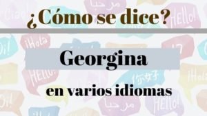 como-se-dice-gerogina