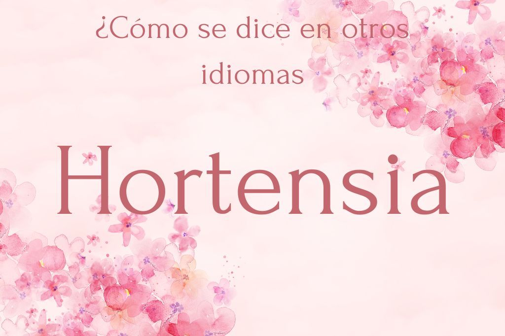 como se dice hortensia en otros idiomas