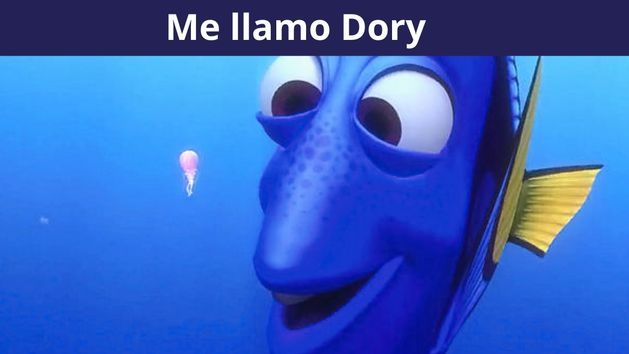 que significa dory